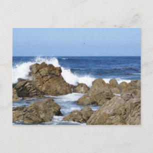 Monterey, CA Postcard