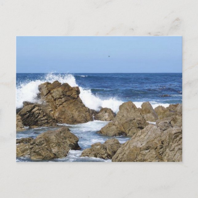 Monterey, CA Postcard (Front)