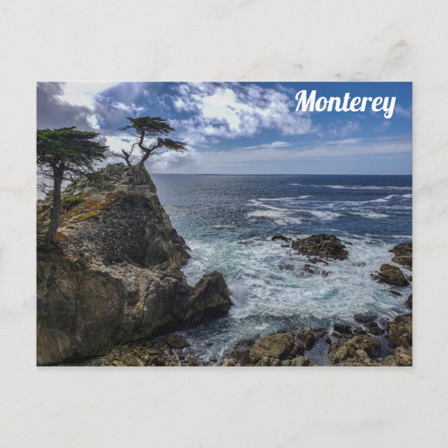 Monterey California Pebble Beach Cypress Tree Postcard (Front)