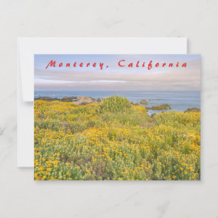 Monterey Spring Postcard