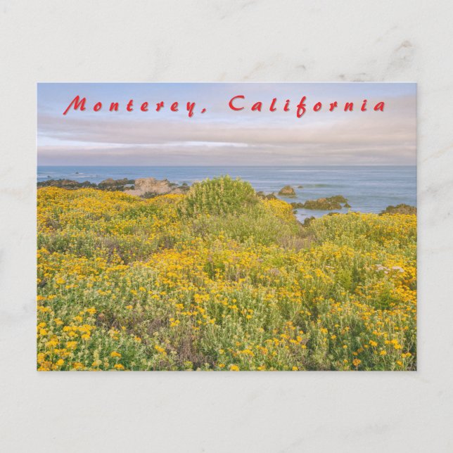 Monterey Spring Postcard (Front)