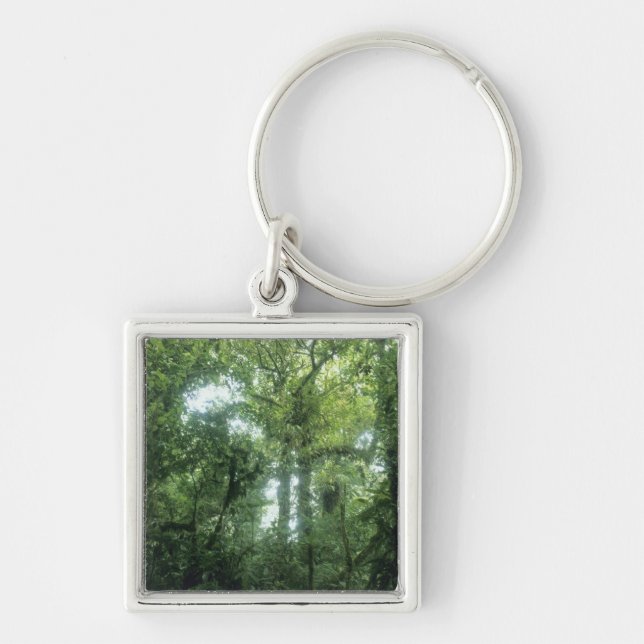 Monteverde Cloud Forest, Costa Rica. Key Ring (Front)