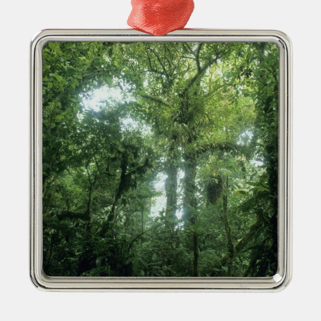 Monteverde Cloud Forest, Costa Rica. Metal Tree Decoration (Front)