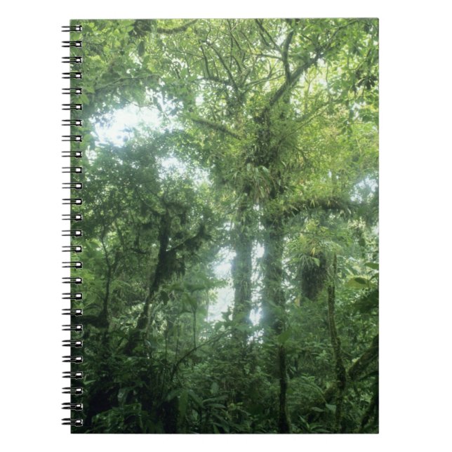 Monteverde Cloud Forest, Costa Rica. Notebook (Front)