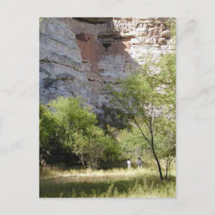 Montezuma Castle Cliff Indian Grass Trees Postcard