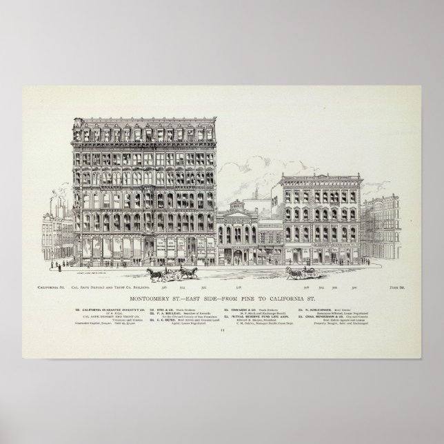 Montgomery East side Pine and California Poster (Front)