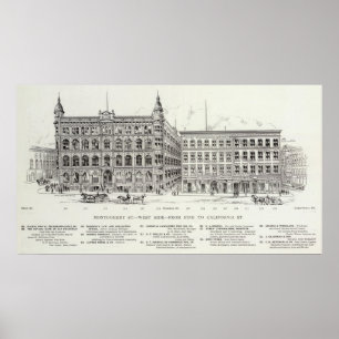 Montgomery West side Pine and California Poster