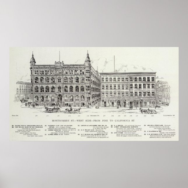 Montgomery West side Pine and California Poster (Front)