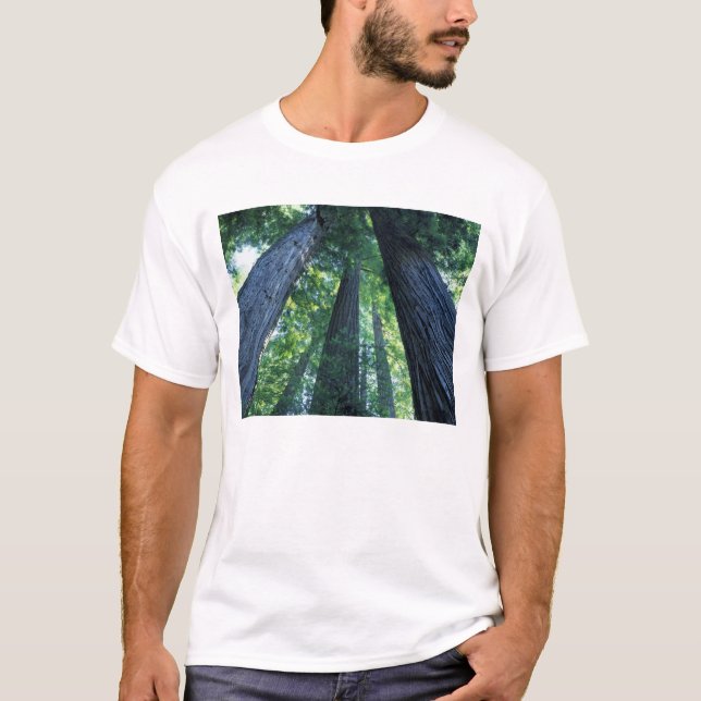 Montgomery Woods State Reserve, California. T-Shirt (Front)