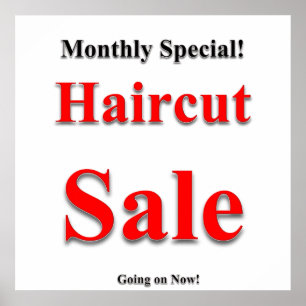 Monthly Special Haircut Sale Poster Matte