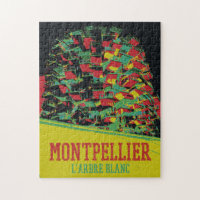 Montpellier Architecture illustration France