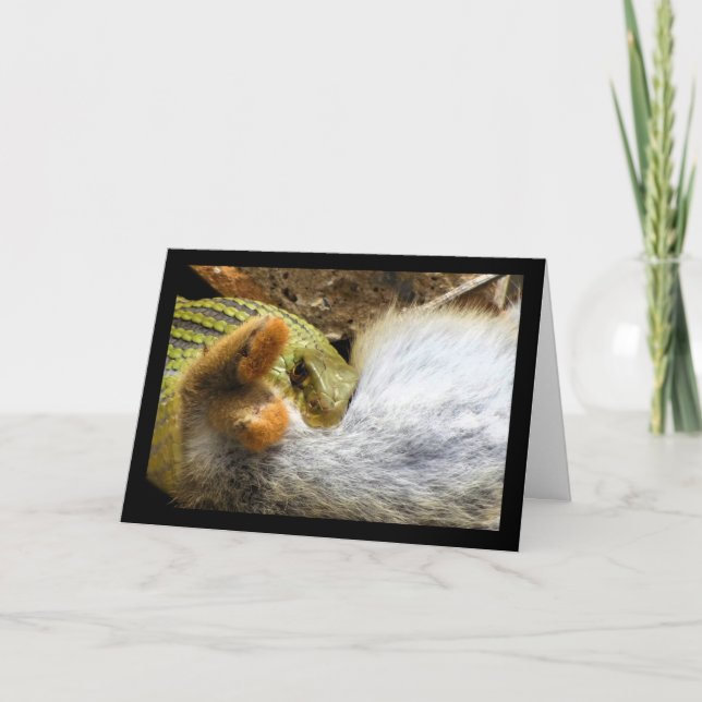 Montpellier Snake Feasting on Rabbit Card (Front)