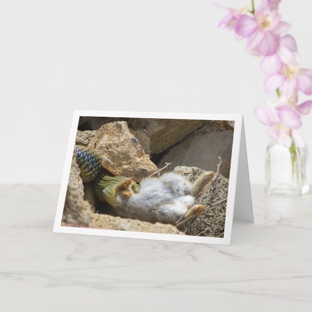 Montpellier Snake Feasting on Rabbit Card (Orchid)