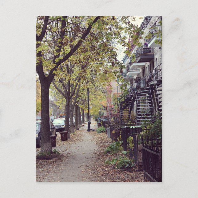 Montréal - Automne Postcard (Front)