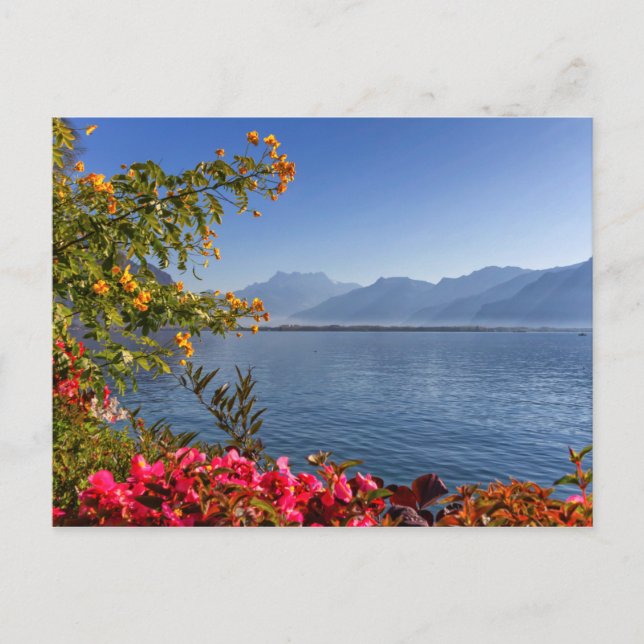 Montreux lakeshore, Switzerland Postcard (Front)