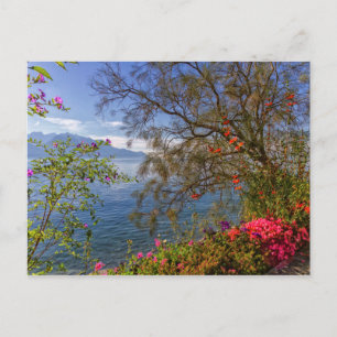 Montreux lakeshore, Switzerland Postcard