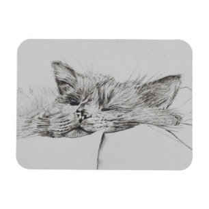 Monty sleepy boy magnet