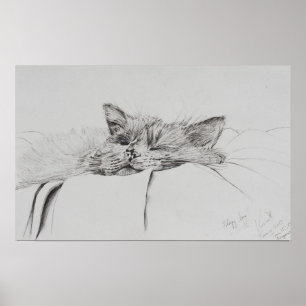 Monty sleepy boy poster