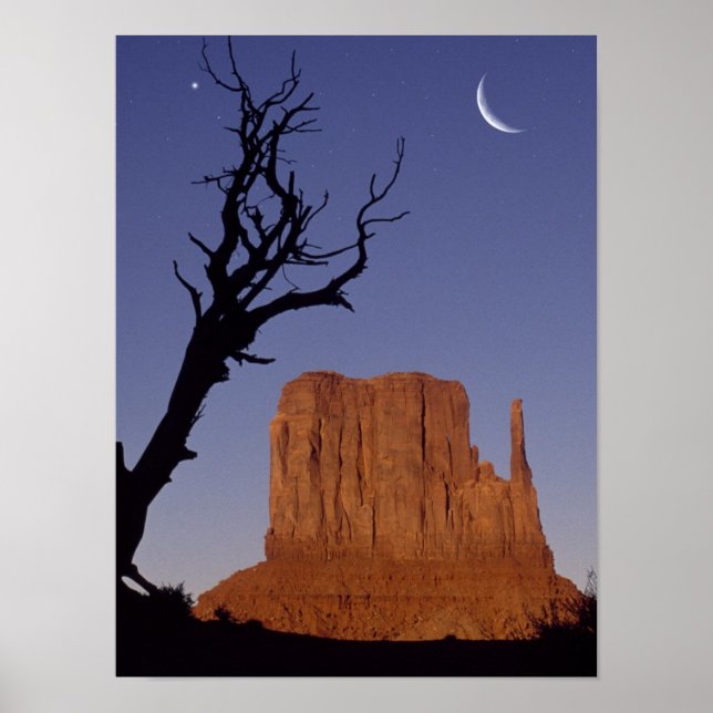 Monument Valley Poster (Front)