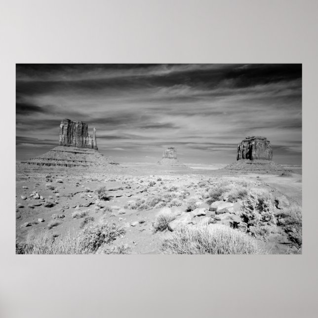 Monument Valley Poster (Front)