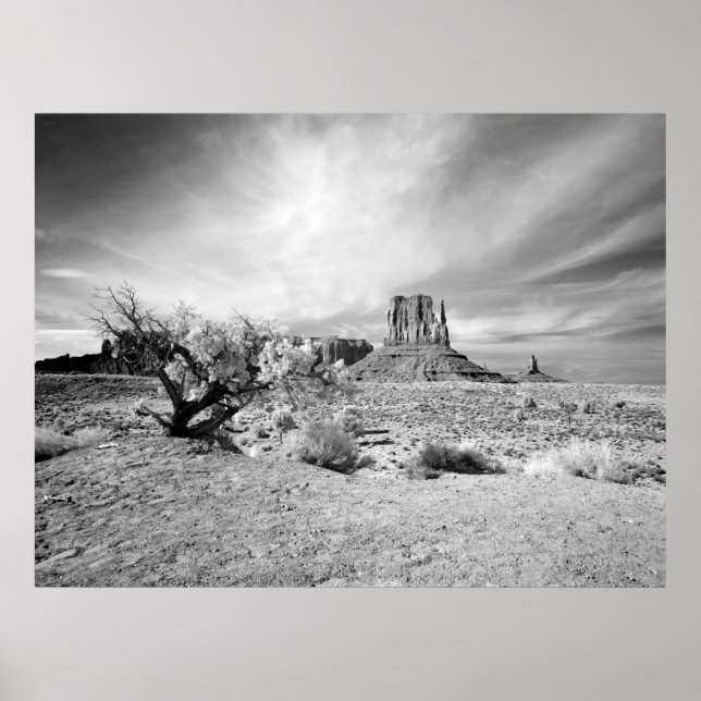 Monument Valley Poster (Front)