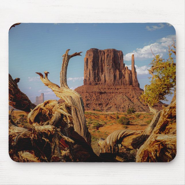Monument Valley Southwest Mittens Mousepad (Front)