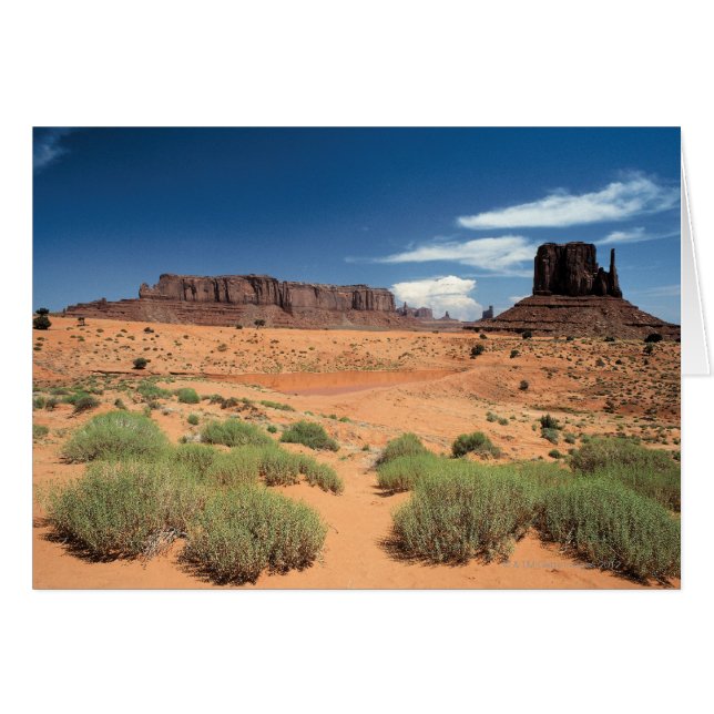 Monument Valley , Utah 2 (Front Horizontal)