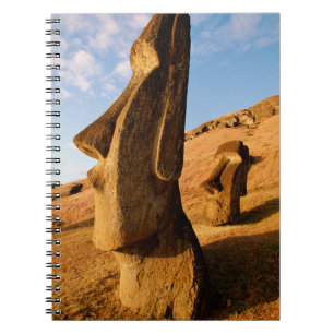 Monuments   Easter Island Notebook