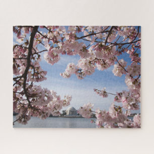 Monuments   Jefferson Memorial Cherry Blossoms Jigsaw Puzzle