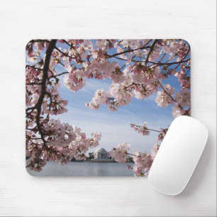Monuments Jefferson Memorial Cherry Blossoms Mouse Pad