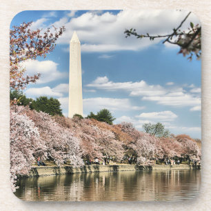 Monuments   Washington Memorial Coaster