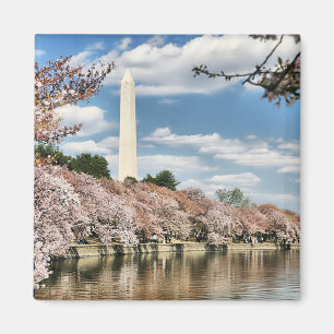 Monuments   Washington Memorial Magnet