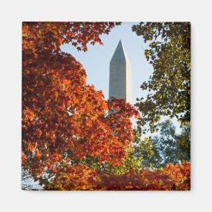 Monuments Washington Monument in Autumn Magnet