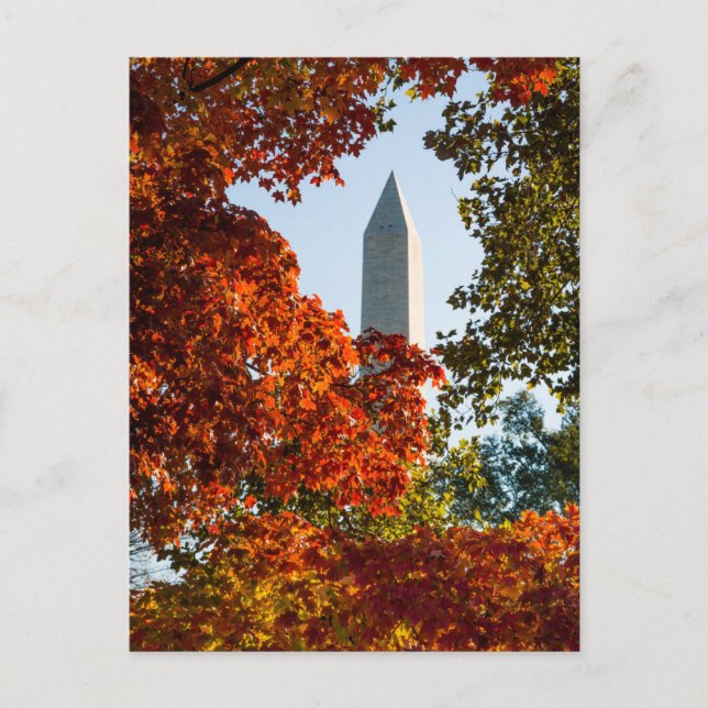 Monuments | Washington Monument in Autumn Postcard (Front)