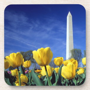Monuments   Washington Monument in Spring Coaster