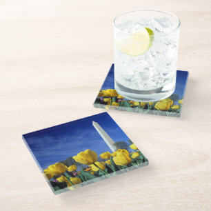Monuments Washington Monument in Spring Glass Coaster