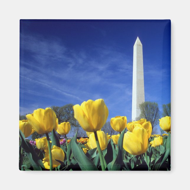 Monuments | Washington Monument in Spring Magnet (Front)