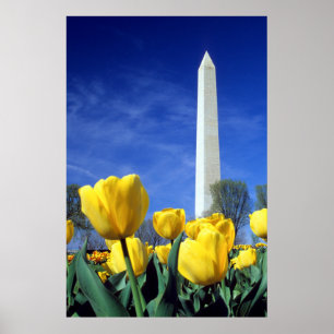 Monuments   Washington Monument in Spring Poster