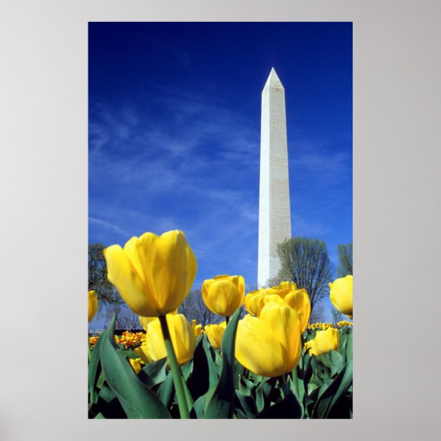 Monuments | Washington Monument in Spring Poster (Front)