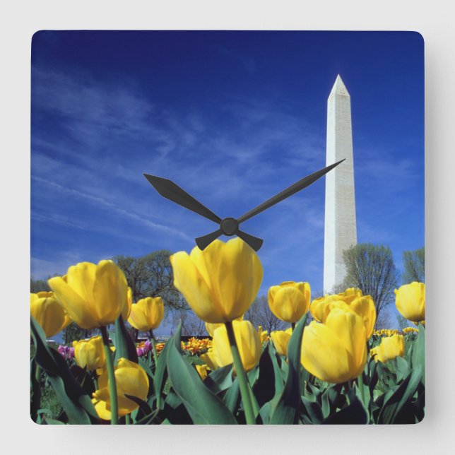 Monuments | Washington Monument in Spring Square Wall Clock (Front)