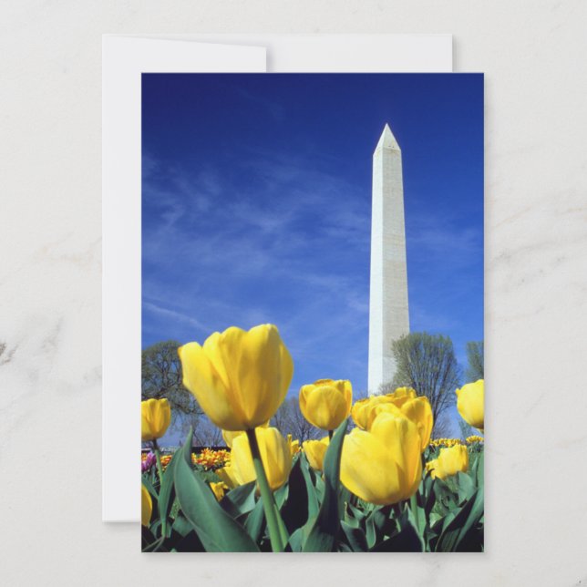 Monuments | Washington Monument in Spring Thank You Card (Front)