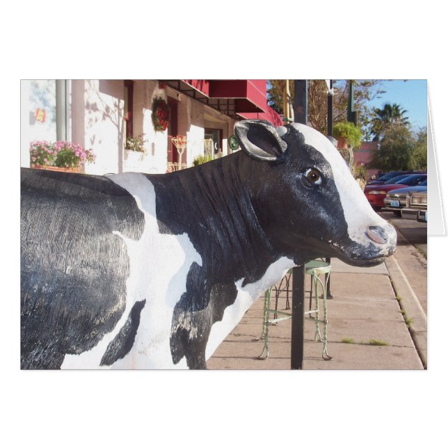 Moo (Front Horizontal)