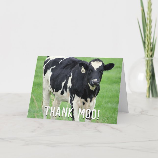 Moo Cow Thank You Card (Front)