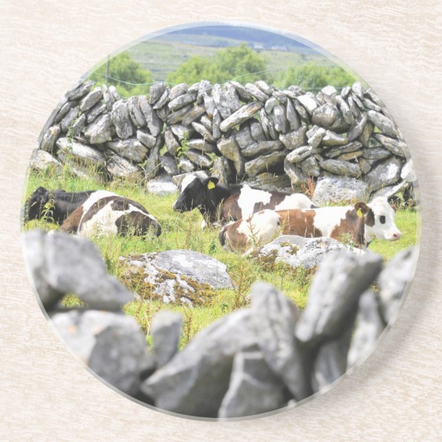 Moo Cows Coaster (Front)