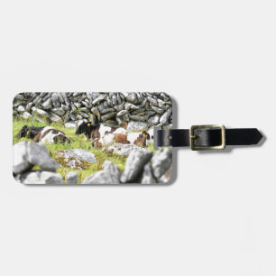 Moo Cows Luggage Tag