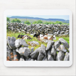Moo Cows Mouse Pad