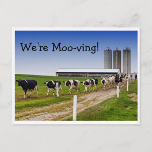 Moo-ving, Funny Cows Change of Address Announcement Postcard