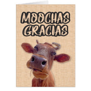 “Moochas Gracias” Cow Thank You Card