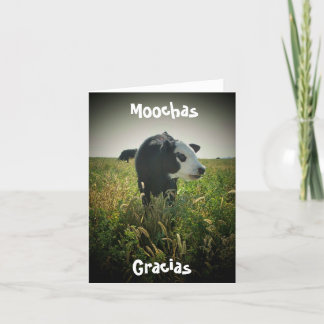 Moochas Gracias Thank You Card