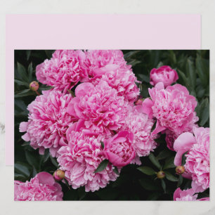 Moody and elegant pink peony Scrapbook Paper